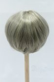 画像2: 8inch/ウィッグ S-26-01-11-362-SK-ZS (2)