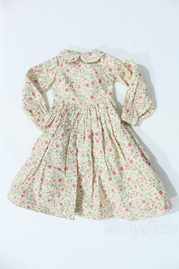 画像1: SD/OF:ワンピース S-25-11-09-040-SK-ZS (1)