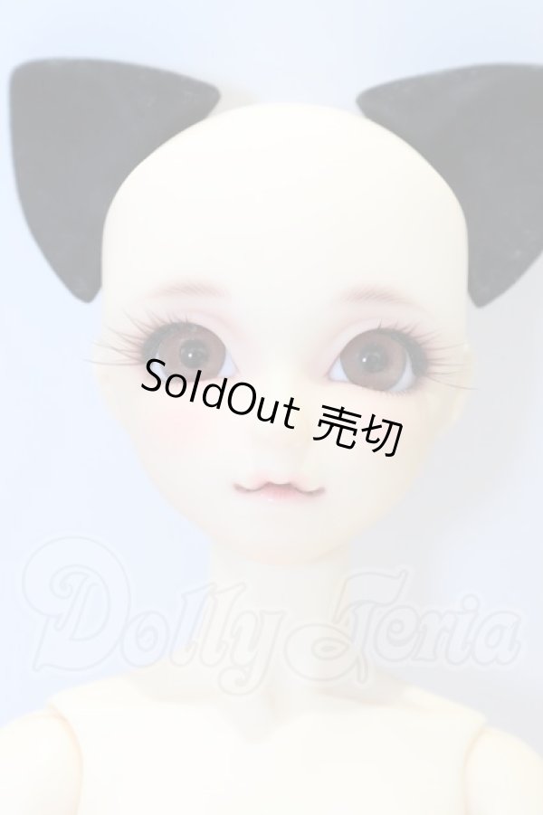 画像2: SDCute/黒猫ルネ (Rene the Black Cat ) S-26-04-26-001-SK-ZS (2)