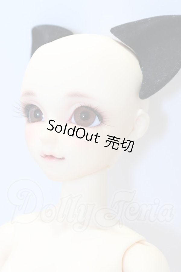 画像3: SDCute/黒猫ルネ (Rene the Black Cat ) S-26-04-26-001-SK-ZS (3)