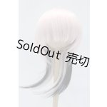 画像: 8-9inch/ウィッグ S-25-10-26-044-SK-ZS