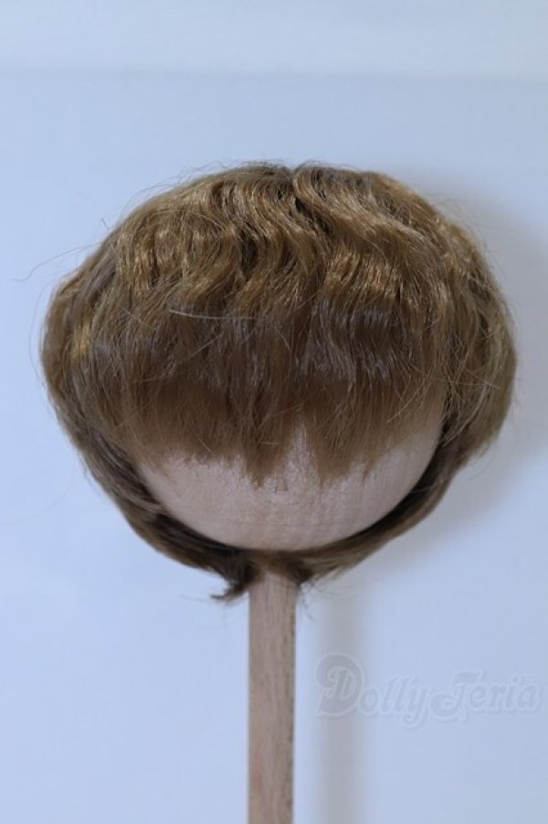 画像1: 8inch/ウィッグ S-26-02-08-091-YB-ZS (1)