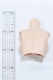 画像2: DD/外皮胸パーツ　寄せ胸 S-25-12-21-012-SK-ZS (2)