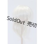 画像: 8-9inch/ウィッグ S-26-02-08-092-SK-ZS