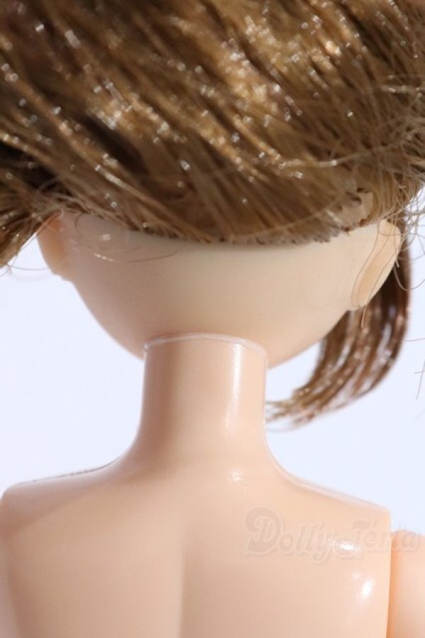 画像6: リカちゃん/リカちゃん S-25-12-21-100-SK-ZS (6)