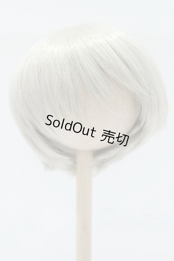 画像1: 9〜10inch/ウィッグ゛：LEEKEWORLD製　ARTWIG(L) Rowan_Evecocktail S-25-11-02-048-SK-ZS (1)