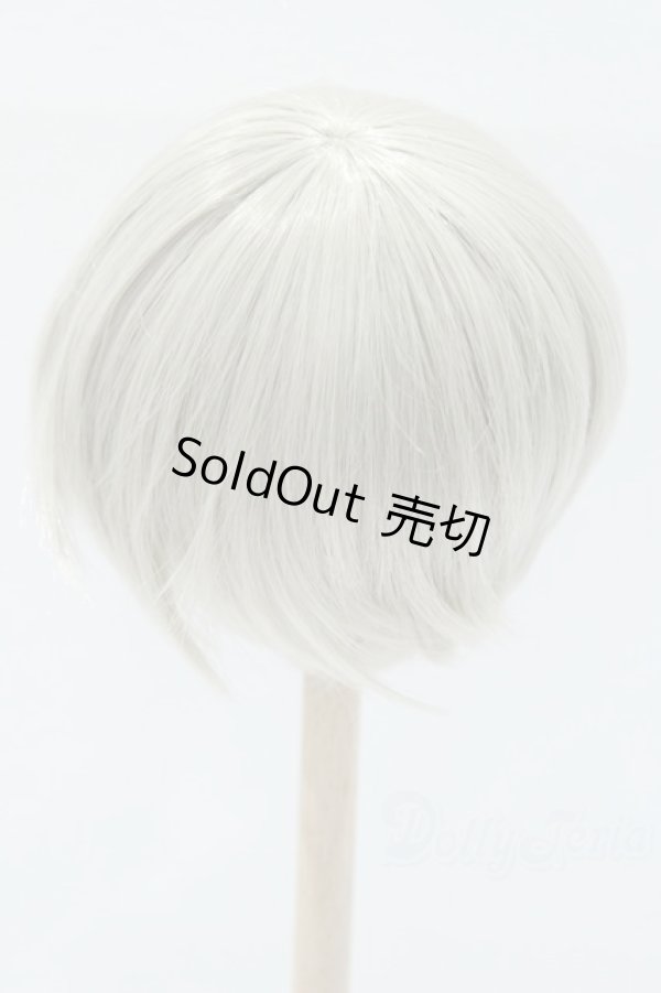 画像2: 9〜10inch/ウィッグ゛：LEEKEWORLD製　ARTWIG(L) Rowan_Evecocktail S-25-11-02-048-SK-ZS (2)