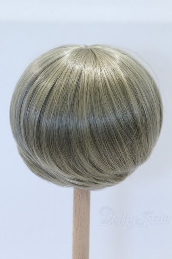 画像2: 8〜9inch/ウィッグ：LEEKEWORLD製 S-26-01-18-096-SK-ZS (2)