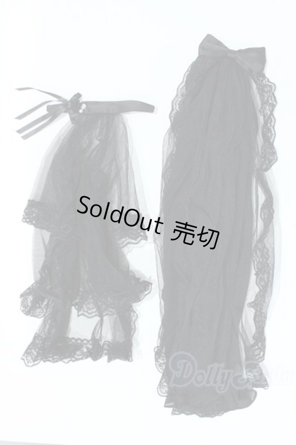 画像2: SD/OF ゴシックレースベール&トレーンセット：VOLKS製 S-26-02-22-457-SK-ZS (2)