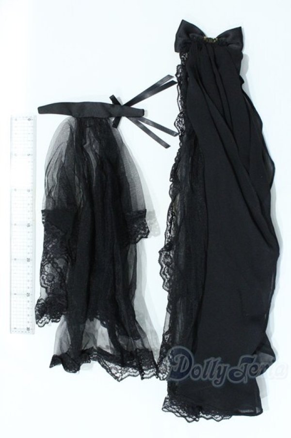 画像3: SD/OF ゴシックレースベール&トレーンセット：VOLKS製 S-25-12-07-010-SK-ZS (3)