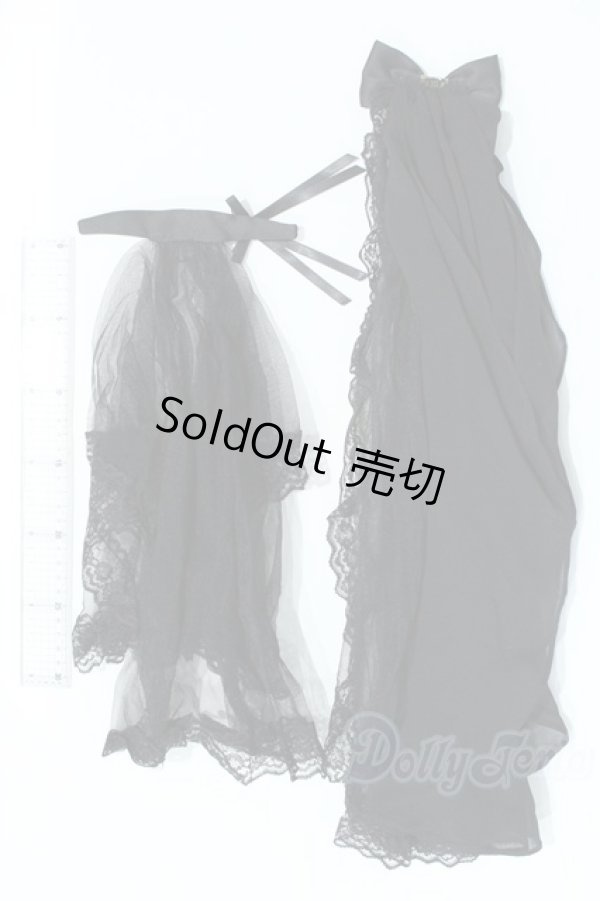 画像3: SD/OF ゴシックレースベール&トレーンセット：VOLKS製 S-26-02-22-457-SK-ZS (3)