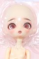 画像: Harmonia bloom/ソメイヨシノ S-26-06-07-058-SK-ZS