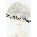 画像: テヤン/カスタム S-26-02-08-525-SK-ZS