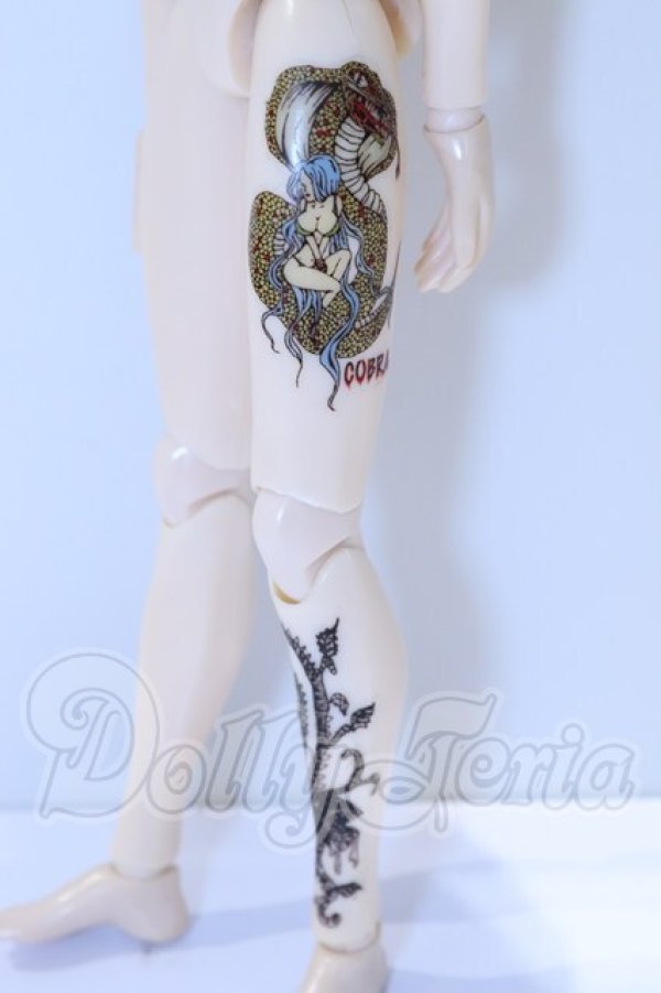 画像5: テヤン/カスタム S-26-03-22-017-SK-ZS (5)