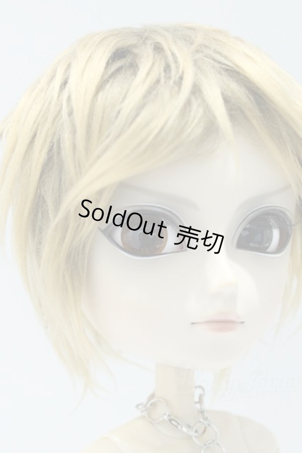 画像2: テヤン/ジャイロ S-25-11-16-385-SK-ZS (2)