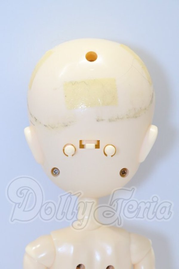 画像6: テヤン/Wayne(ウェイン) S-26-03-22-018-SK-ZS (6)