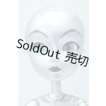 画像: テヤン/オズの魔法使い ブリキ S-25-09-14-016-SK-ZS