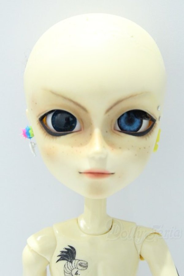 画像1: テヤン/カスタム S-25-11-16-393-SK-ZS (1)