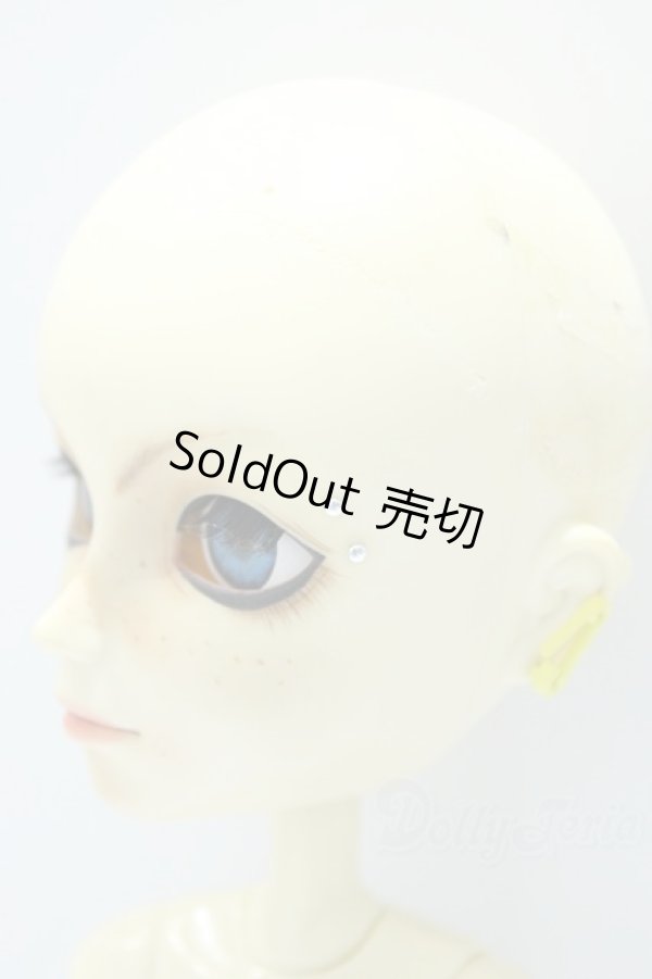 画像3: テヤン/カスタム S-25-11-16-393-SK-ZS (3)