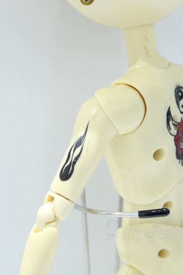 画像6: テヤン/カスタム S-25-11-16-393-SK-ZS (6)