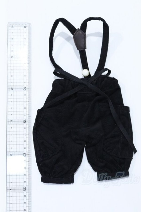 画像2: SDM＆MSD/OF:パンツ S-26-01-11-016-YB-ZS (2)