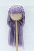 画像1: 8-9inch/ウィッグ S-25-11-02-045-SK-ZS (1)