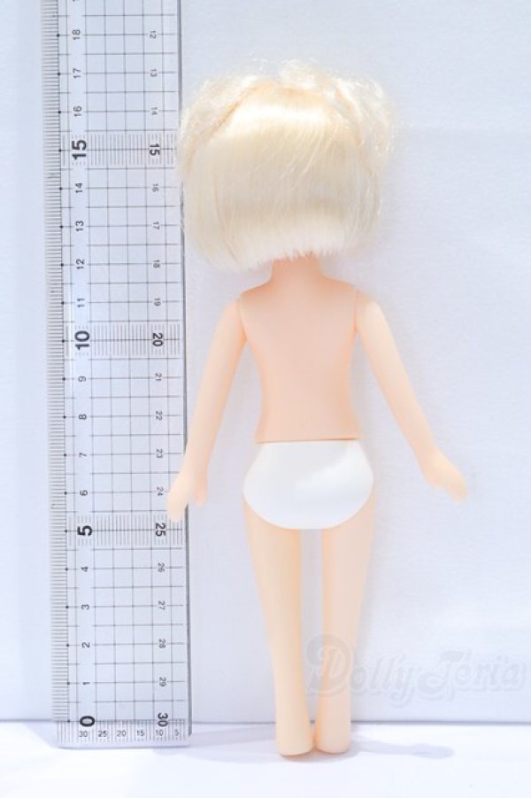 画像5: ジョシィn12 S-25-12-28-076-SK-ZS (5)