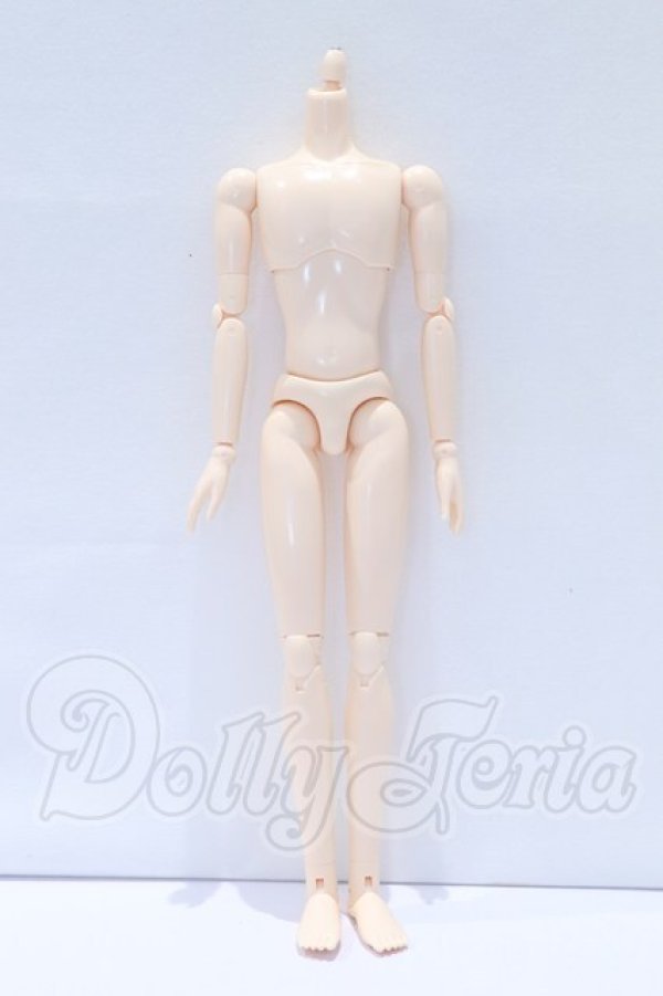 画像1: オビツ27ｃｍ/男性ボディ・スリムタイプ S-26-03-15-006-SK-ZS (1)