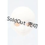 画像: PARABOX/KAY 彩色済みヘッドB S-25-09-14-033-SK-ZS