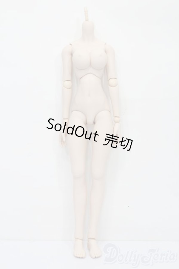 画像1: DDS/ベースボディIII S-25-11-02-482-SK-ZS (1)