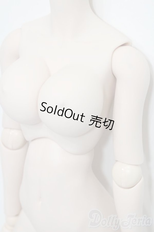 画像3: DDS/ベースボディIII S-25-11-02-482-SK-ZS (3)