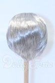 画像3: 8.5-9inch/ウィッグ S-26-02-22-012-SK-ZS (3)