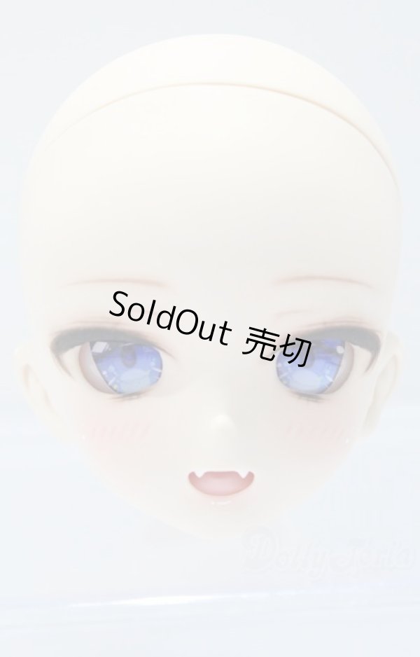 画像2: DD/DDH-10:木穂之工房様カスタム S-25-09-21-004-SK-ZS (2)