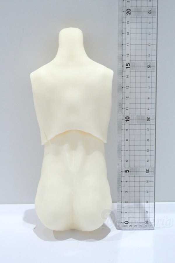 画像2: DDP/Fiorista!様製 筋肉ボディver.2 S-25-12-21-407-SK-ZS (2)