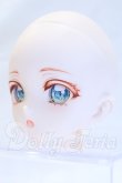 画像2: DD/DDH-10:カスタムヘッド S-26-10-11-061-SK-ZS (2)