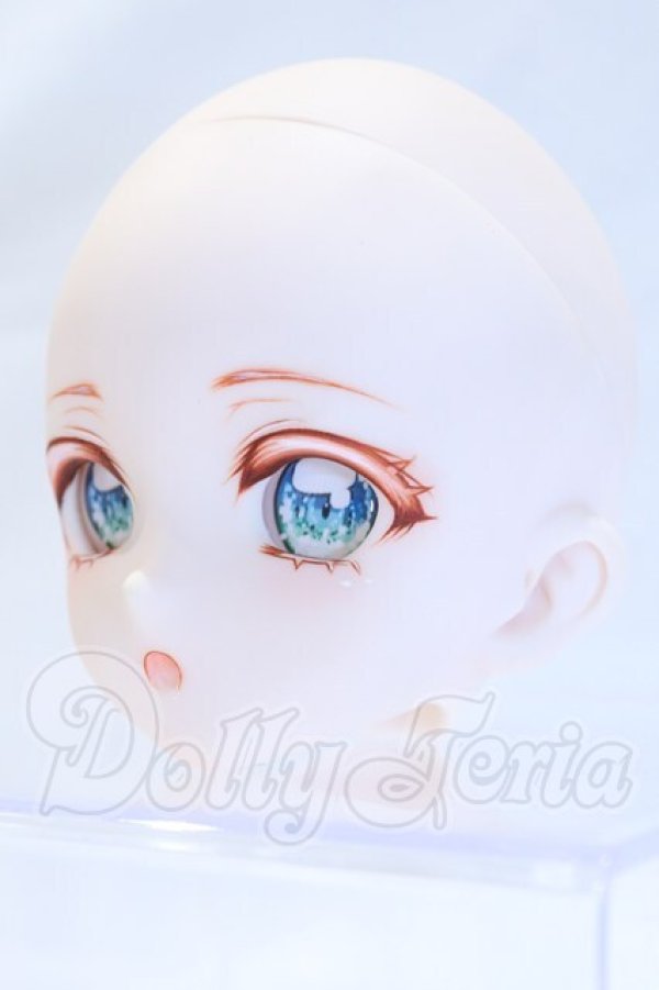 画像2: DD/DDH-10:カスタムヘッド S-26-10-11-061-SK-ZS (2)