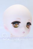 画像3: DD/DDH-01:カスタムヘッド S-26-05-17-090-SK-ZS (3)