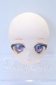 画像: DD/DDH-01:カスタムヘッド S-26-08-09-007-SK-ZS