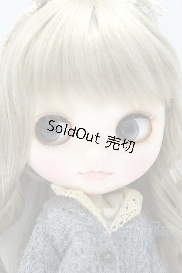 画像3: ネオブライス/asico様カスタム ヴィンターアルデン S-25-10-05-017-SK-ZS (3)