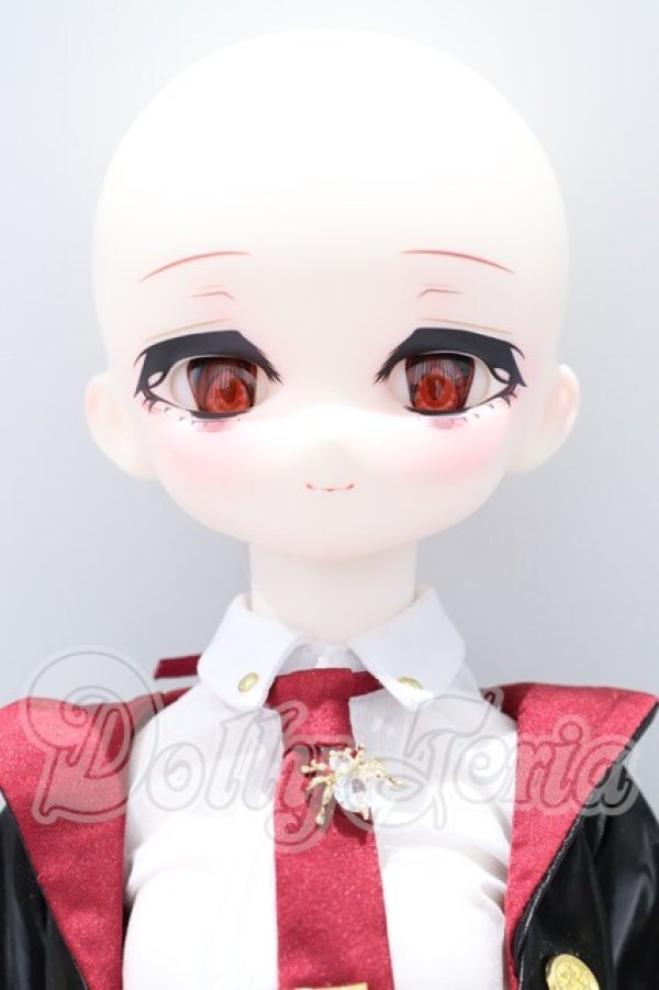 画像2: TinyFox/MACOCOシリーズ 封印された魔導書 ジョシュア S-26-05-03-001-SK-ZS (2)