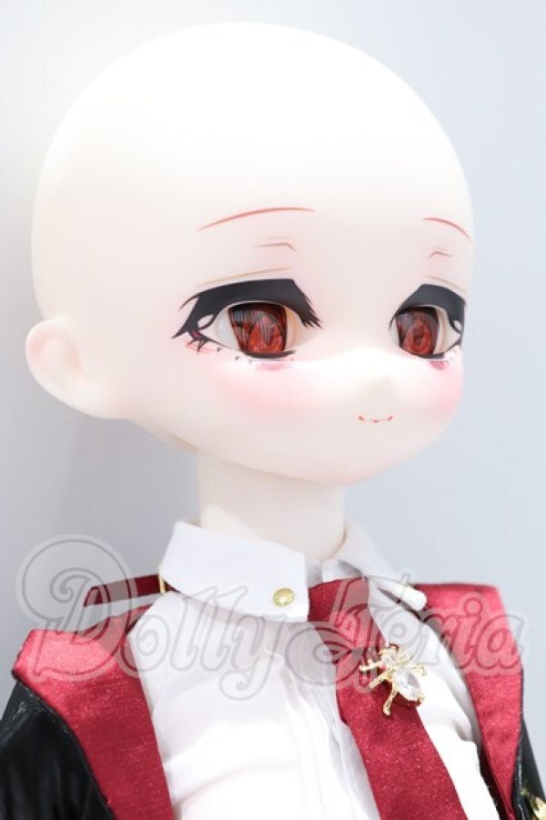 画像4: TinyFox/MACOCOシリーズ 封印された魔導書 ジョシュア S-26-05-03-001-SK-ZS (4)