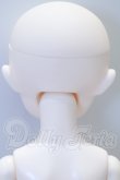 画像5: TinyFox/MACOCOシリーズ 封印された魔導書 ジョシュア S-26-05-03-001-SK-ZS (5)