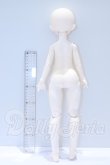 画像8: TinyFox/MACOCOシリーズ 封印された魔導書 ジョシュア S-26-05-03-001-SK-ZS (8)