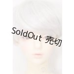 画像: RSDOLL/EVAN ver.R S-26-07-26-541-SK-ZS