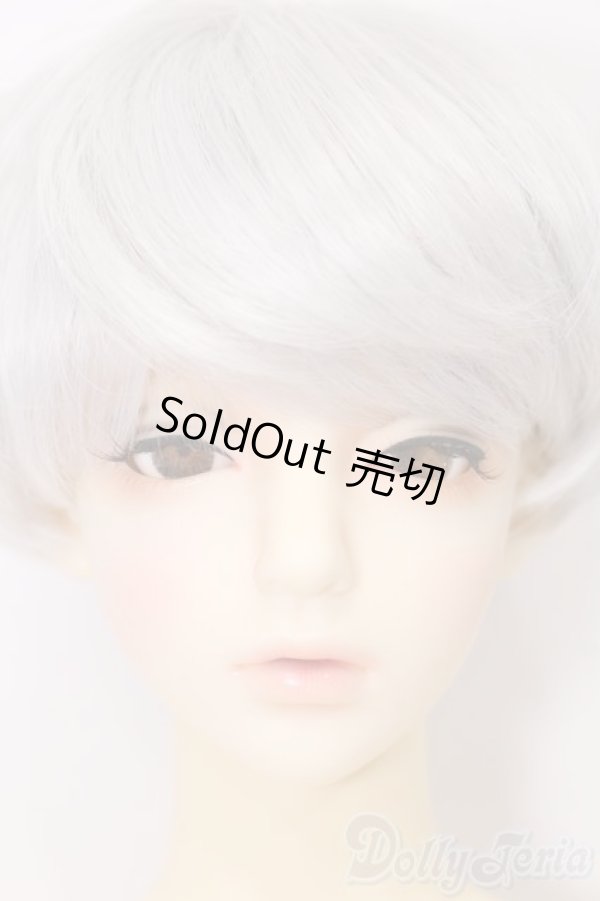 画像1: RSDOLL/EVAN ver.R S-26-07-26-541-SK-ZS (1)