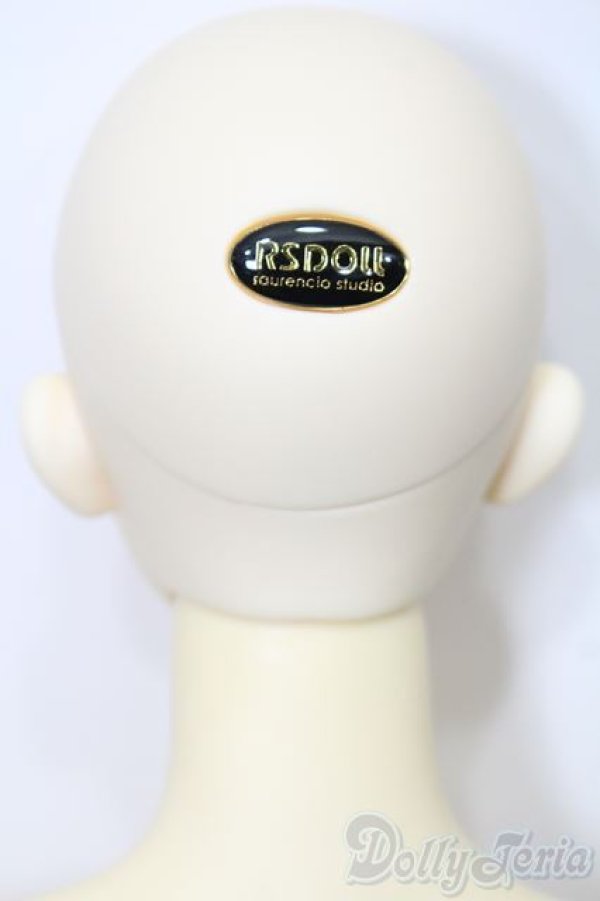 画像5: RSDOLL/EVAN ver.R S-25-11-23-623-SK-ZS (5)
