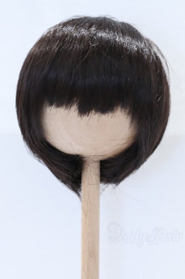 画像1: 9-10inch/ウィッグ S-26-01-25-066-SK-ZS (1)