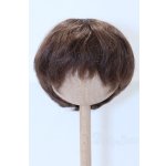 画像: 8-9inch/ウィッグ S-26-01-11-100-SK-ZS