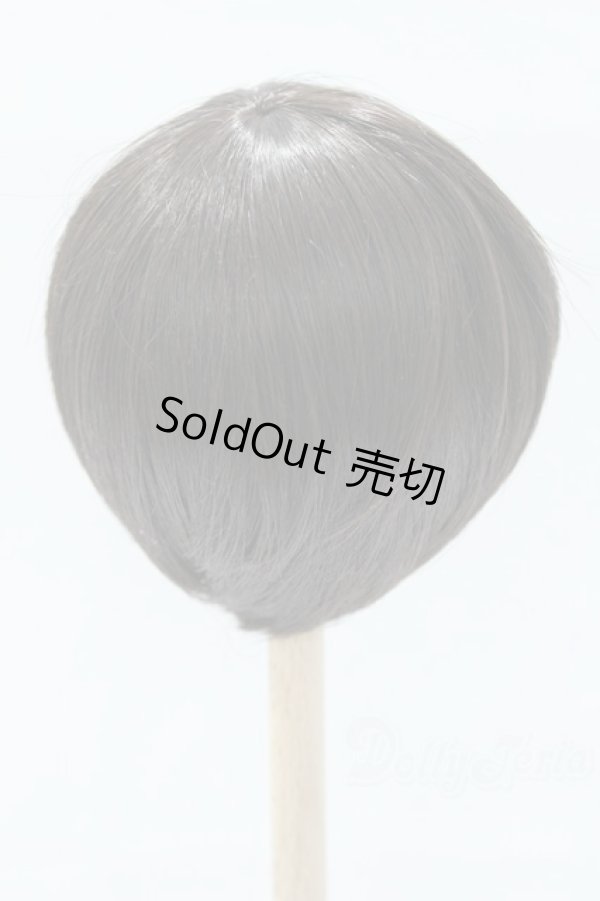 画像2: 8-9inch/ウィッグ S-26-01-11-356-SK-ZS (2)