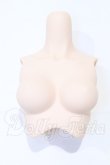画像1: DDS/DDS-B-01 上半身パーツ-M胸:フレッシュ S-26-03-08-091-SK-ZS (1)